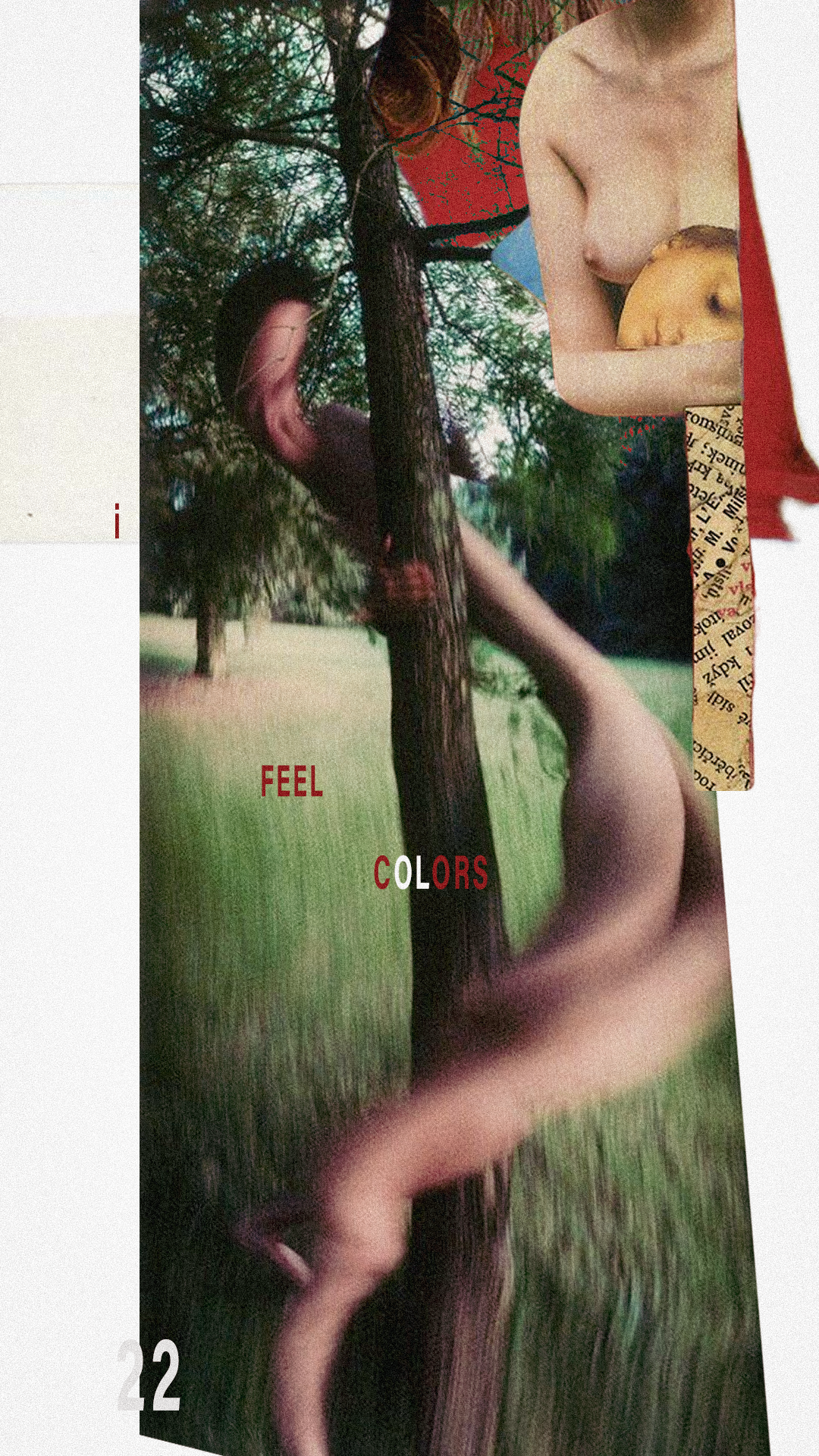 Abstract collage of trees, a body, red shapes, and the words feel colors